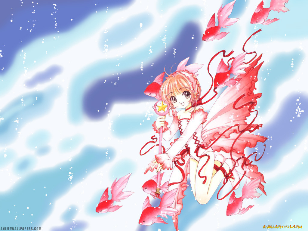 , card, captor, sakura